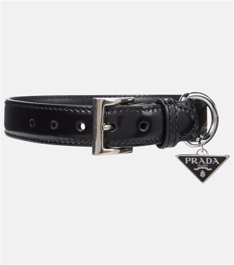 prada dog collar buy|designer inspired dog collar.